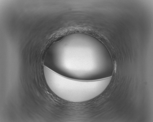 X0000081611492200701151106