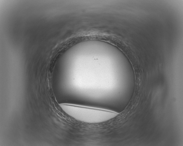 X0000081611493200701151106