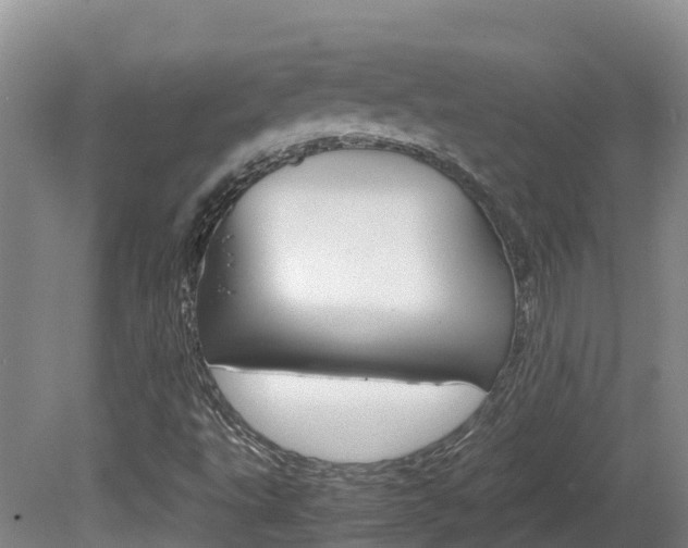 X0000081611495200701151106