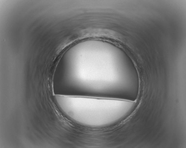 X0000081611497200701151106