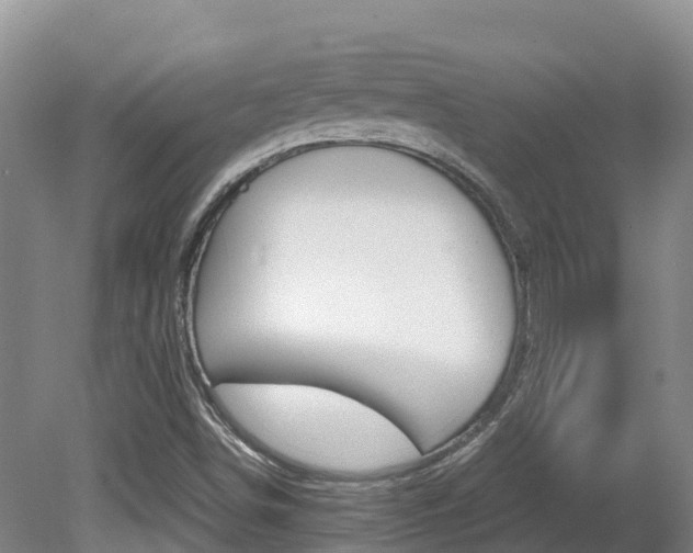 X0000081611498200701151106