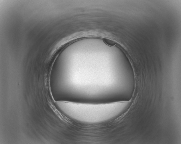 X0000081611499200701151106
