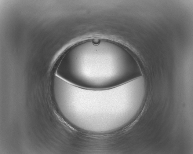 X0000081611502200701151106