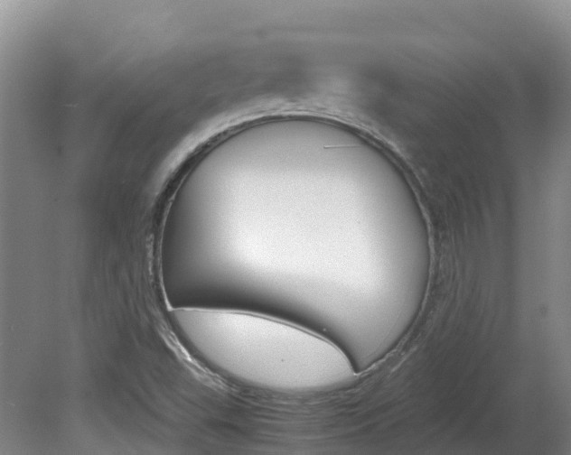 X0000081611503200701151106