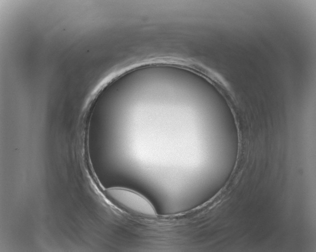 X0000081611504200701151106