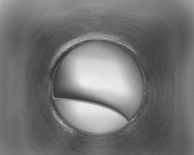 X0000081611507200701151106
