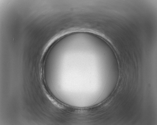 X0000081611511200701151106