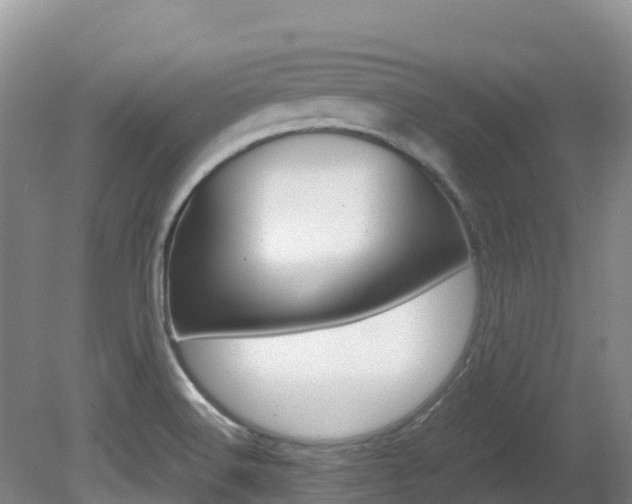 X0000081611516200701151106