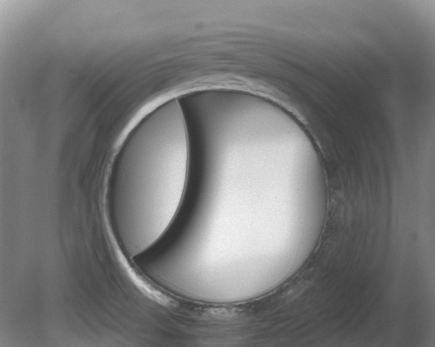 X0000081611523200701151107