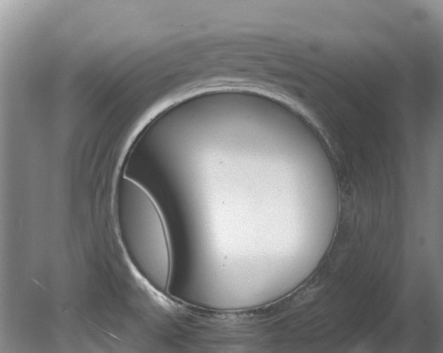 X0000081611527200701151107
