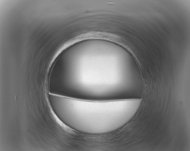 X0000081611531200701151107