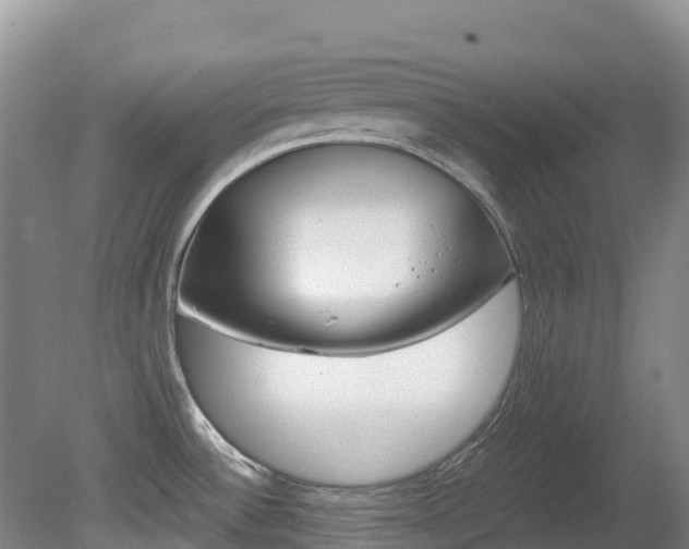 X0000081611532200701151107