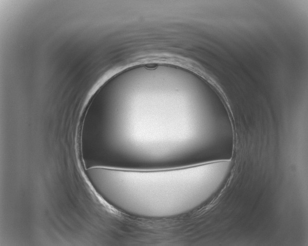 X0000081611533200701151107