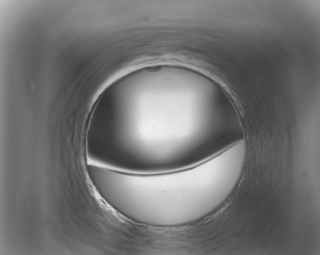 X0000081611534200701151107