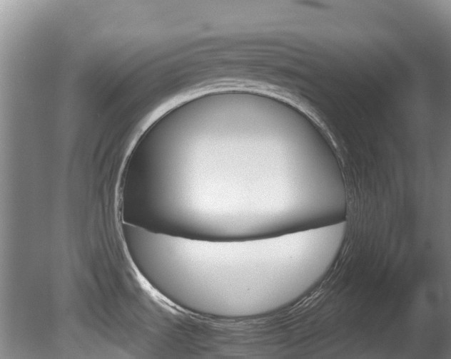 X0000081611535200701151107
