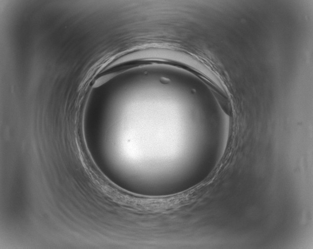 X0000081610001200701151417