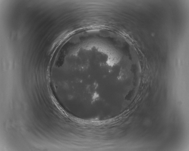 X0000081610002200701151417