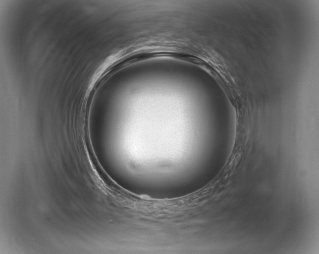 X0000081610003200701151417