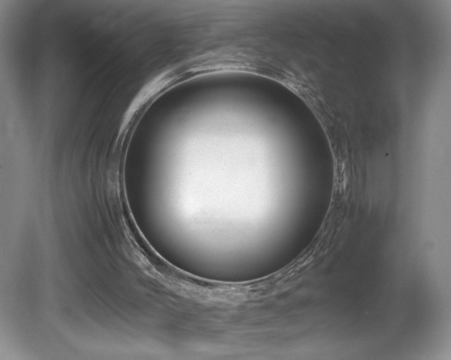 X0000081610004200701151417