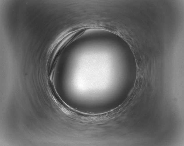 X0000081610005200701151417