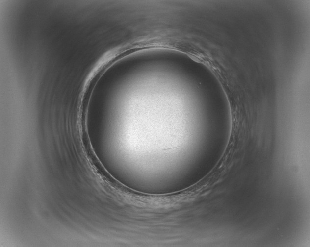 X0000081610006200701151417