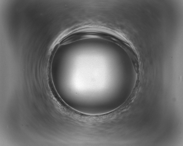 X0000081610007200701151417