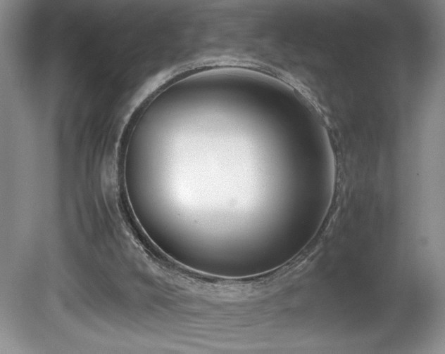 X0000081610008200701151417