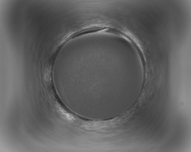 X0000081610009200701151417