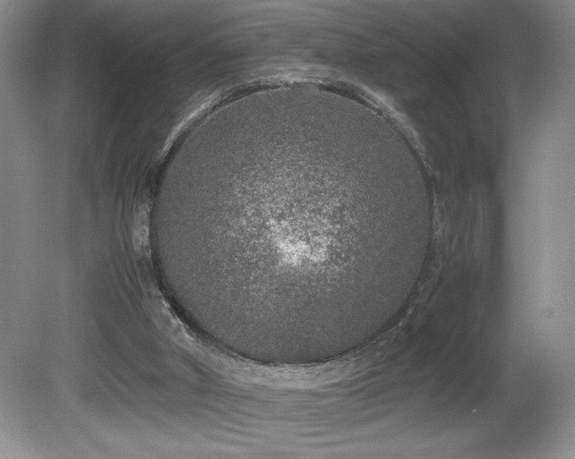 X0000081610010200701151417