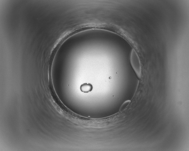 X0000081610011200701151417