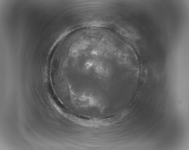 X0000081610012200701151417