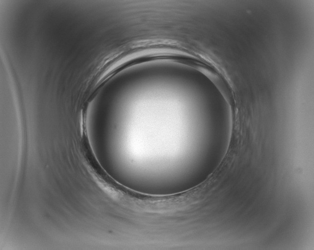 X0000081610013200701151417