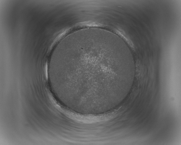 X0000081610014200701151417