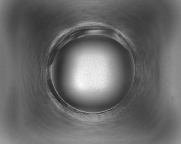 X0000081610015200701151417