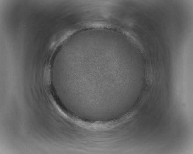 X0000081610016200701151417