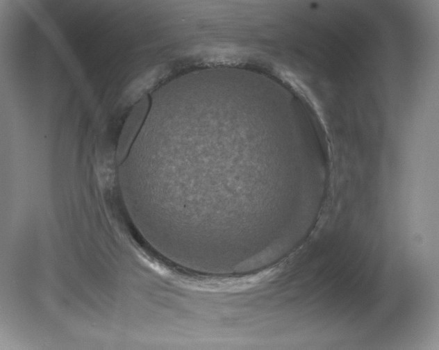 X0000081610017200701151417