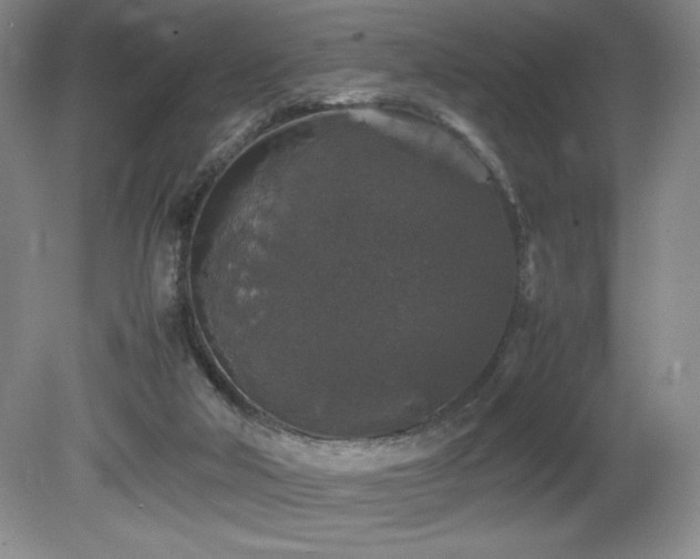 X0000081610018200701151417