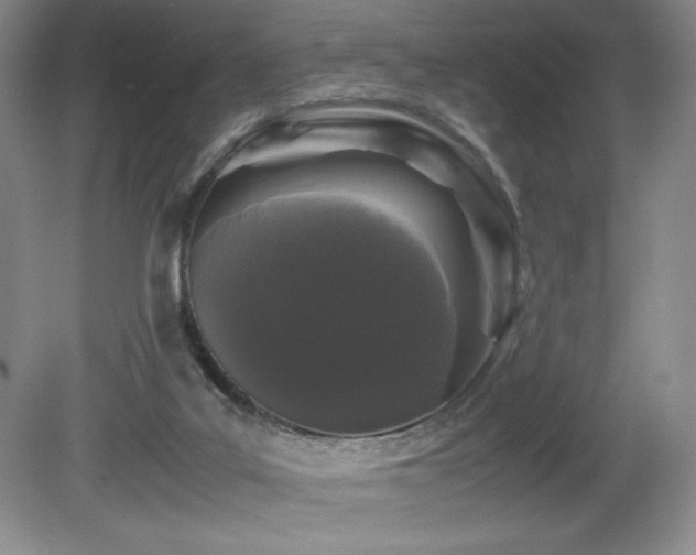 X0000081610019200701151417