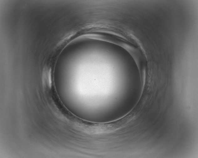 X0000081610020200701151417