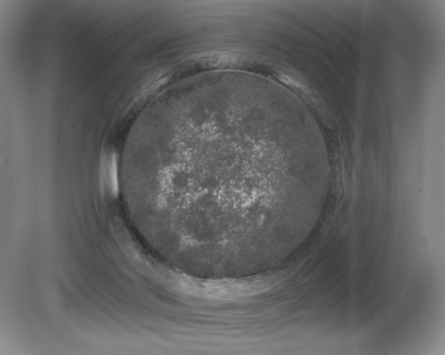 X0000081610022200701151417