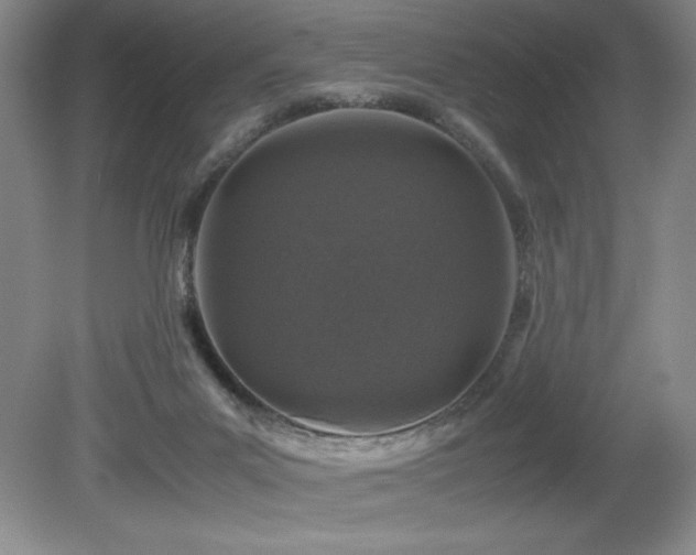 X0000081610023200701151417