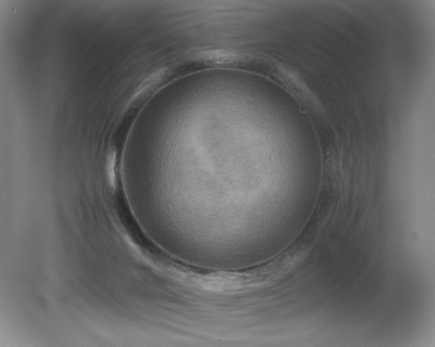 X0000081610024200701151417