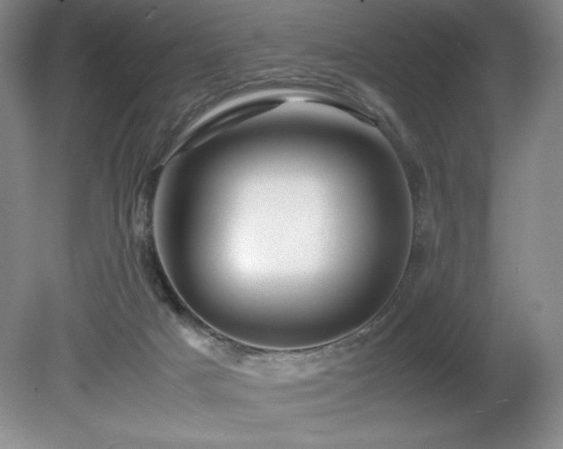 X0000081610025200701151417