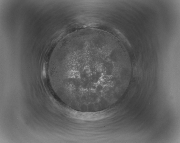 X0000081610026200701151417