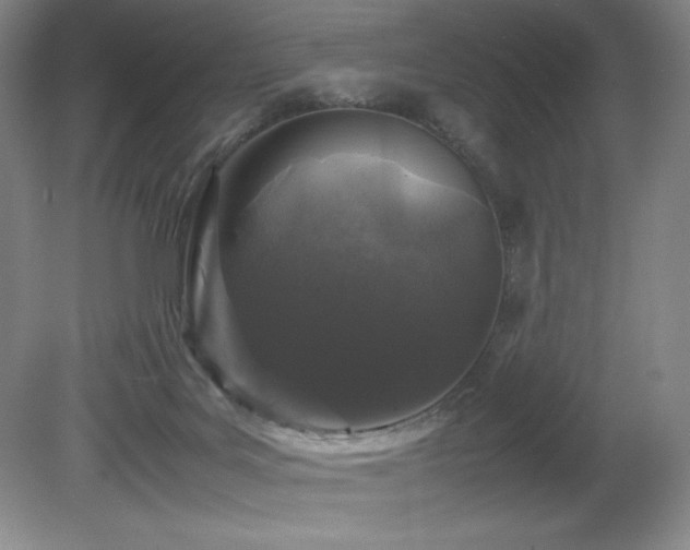 X0000081610027200701151417