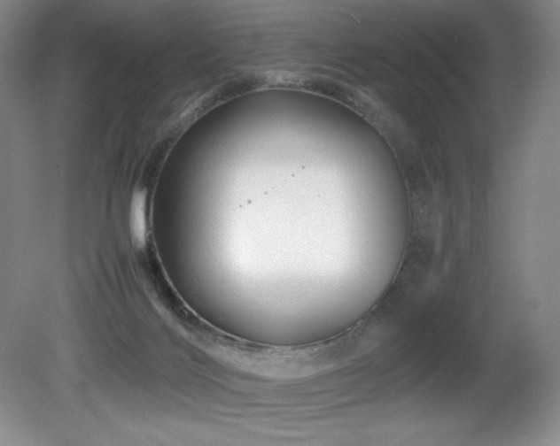 X0000081610028200701151417