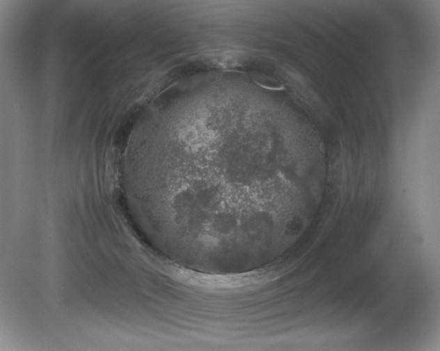 X0000081610030200701151417