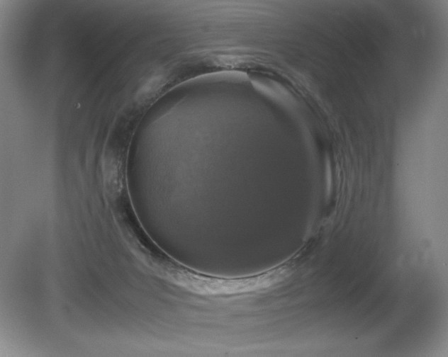 X0000081610031200701151417