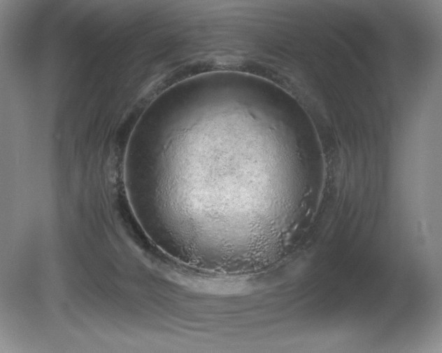 X0000081610032200701151417