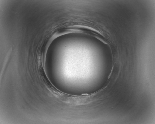 X0000081610033200701151417